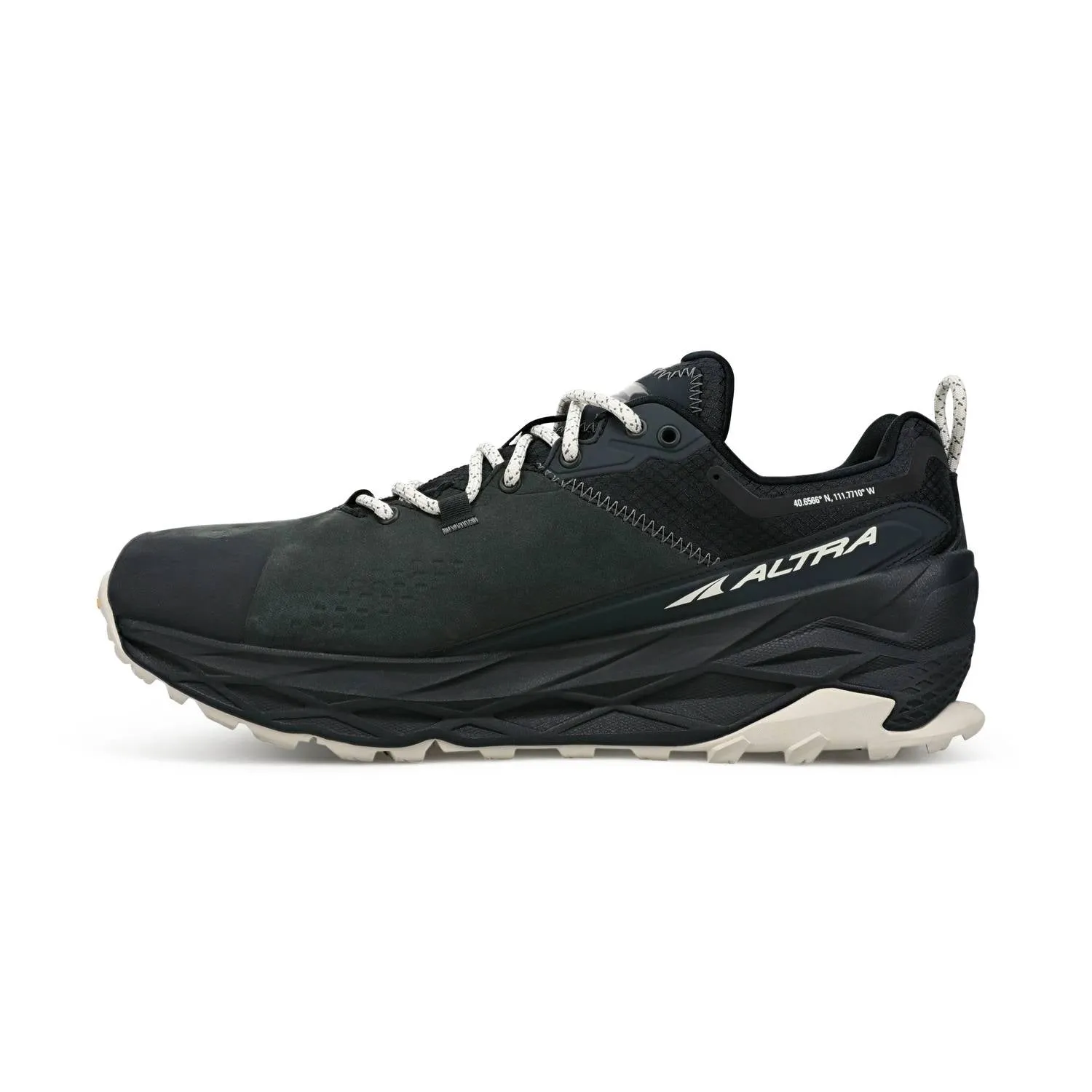 Men's Olympus 5 Hike Low Gtx Shoes In Black