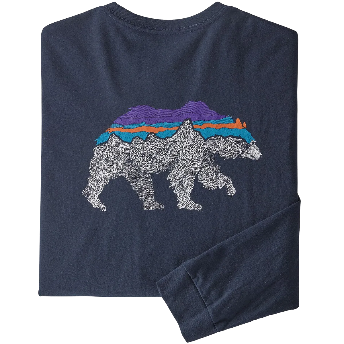 Patagonia Men's Long-Sleeved Back For Good Responsibili-Tee