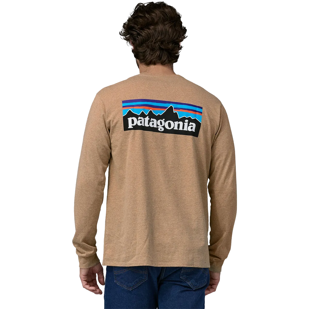 Patagonia Men's Long-Sleeved P-6 Logo Responsibili-Tee