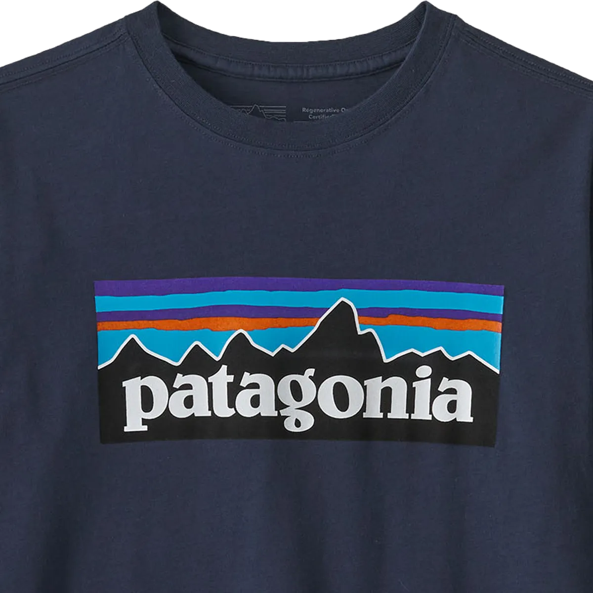 Patagonia Youth Long Sleeved Regenerative Organic Certified Cotton P-6 T-Shirt